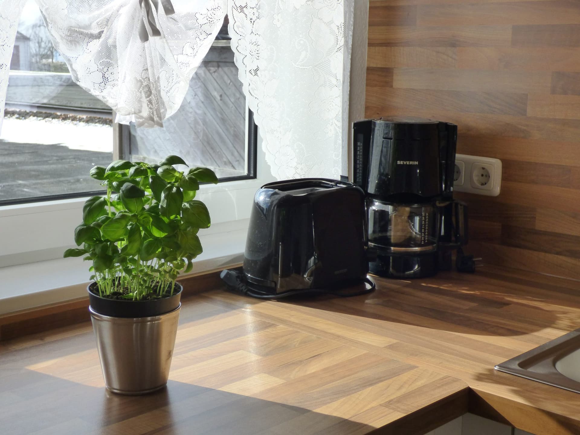 Basilikum, Toaster und Kaffeemaschine auf der Arbeitsplatte